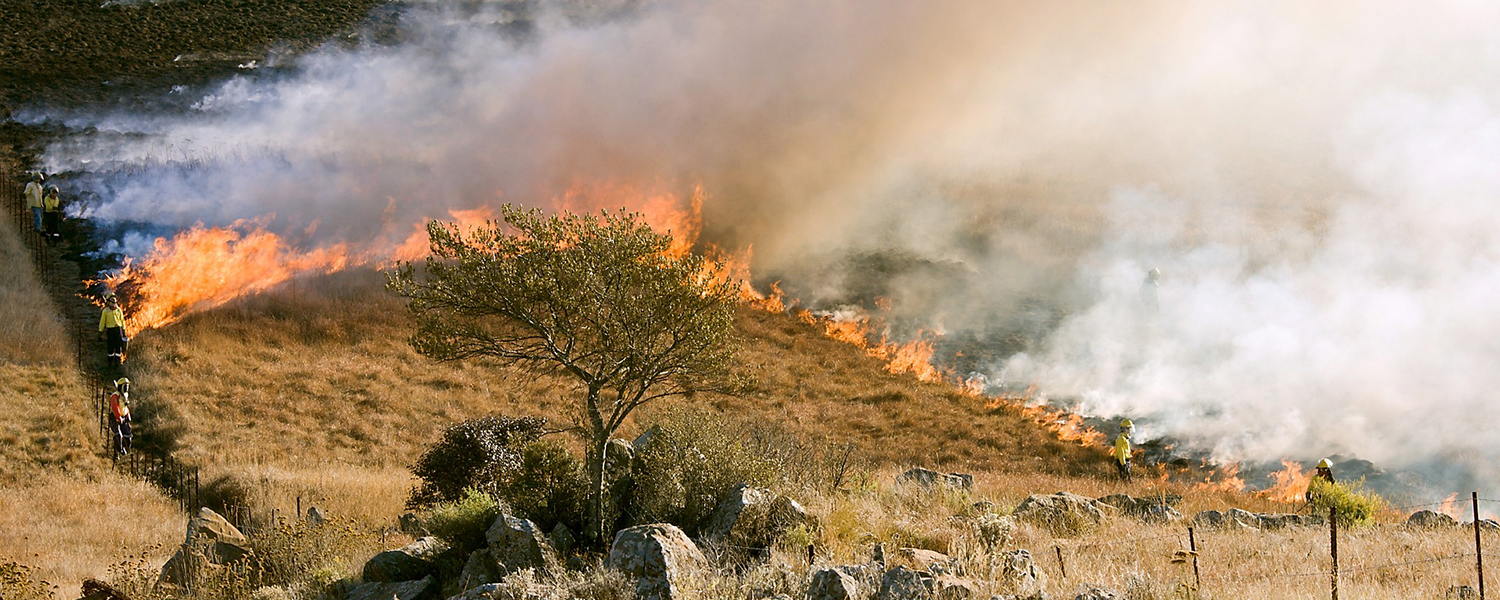 Home Agoura Hills Fire Safe Council