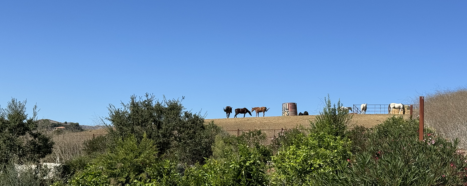 Home Agoura Hills Fire Safe Council