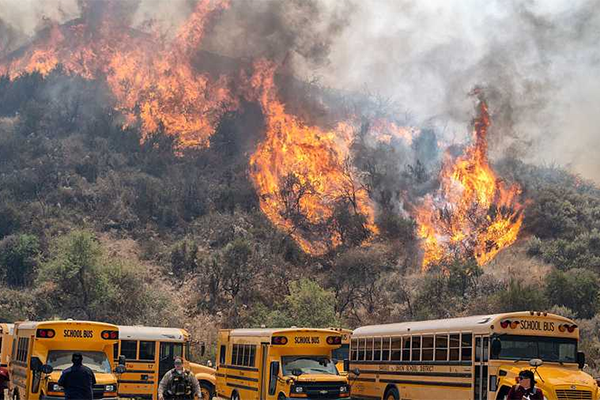 Wildfires Raging on Four Continents